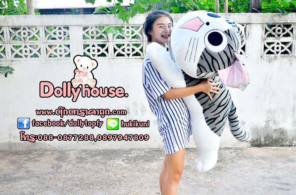 doll kitty
